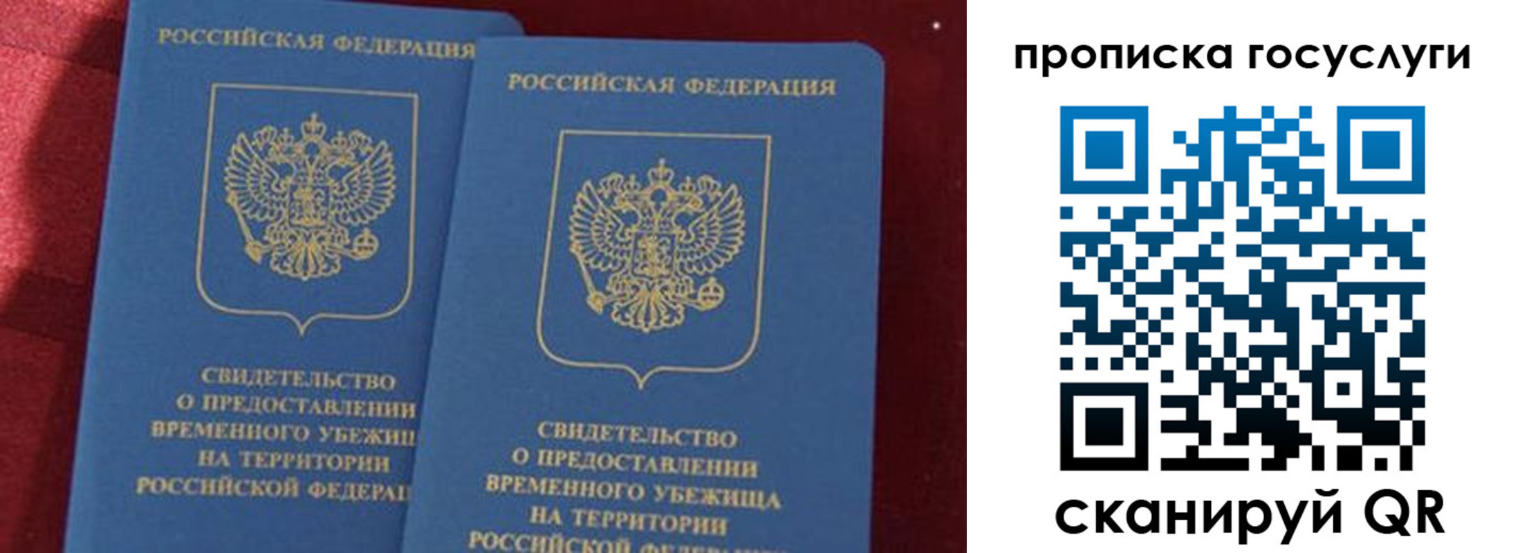 прописка гарантия в Туле